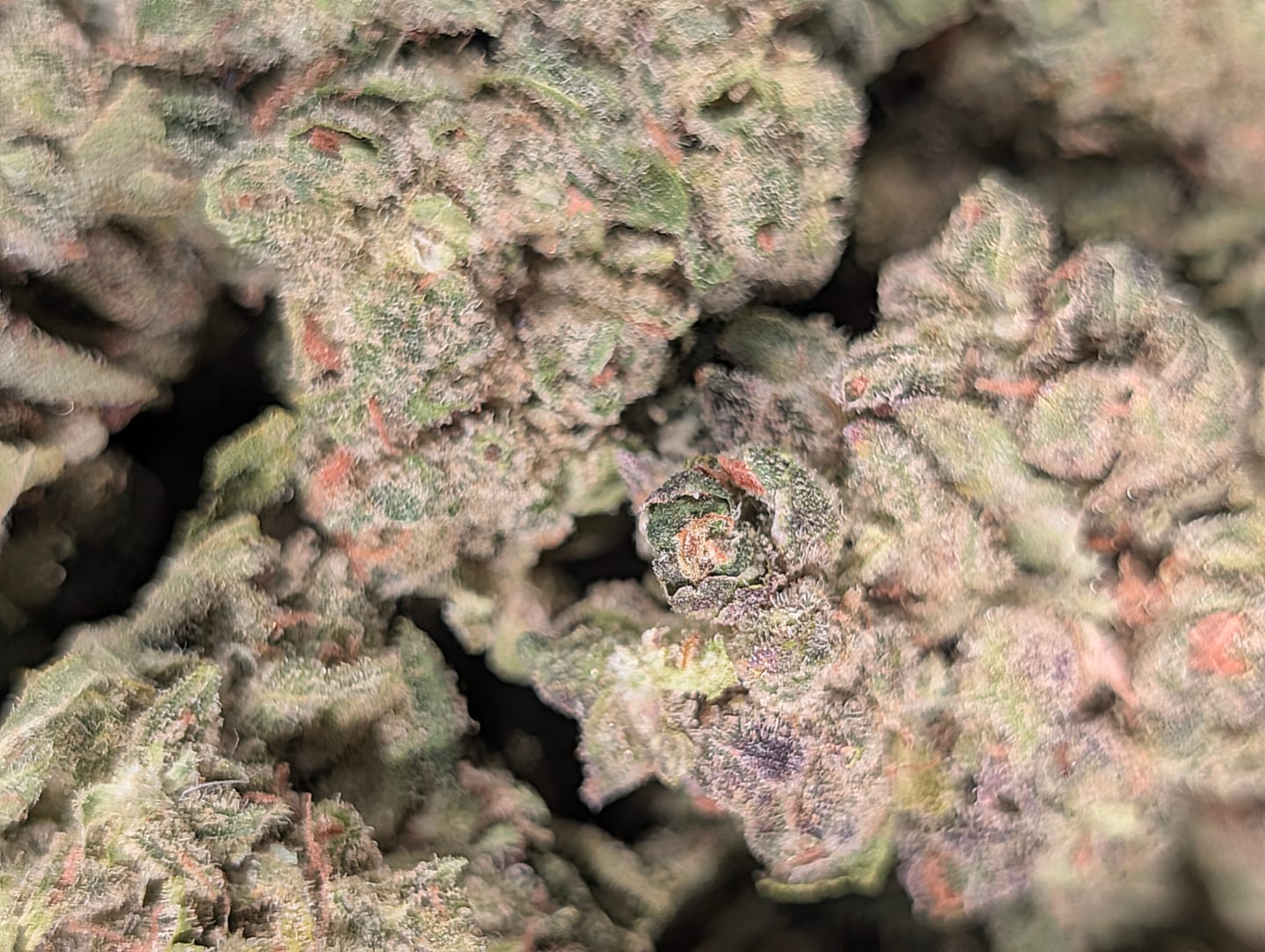 Customer photo review of THCA Queen