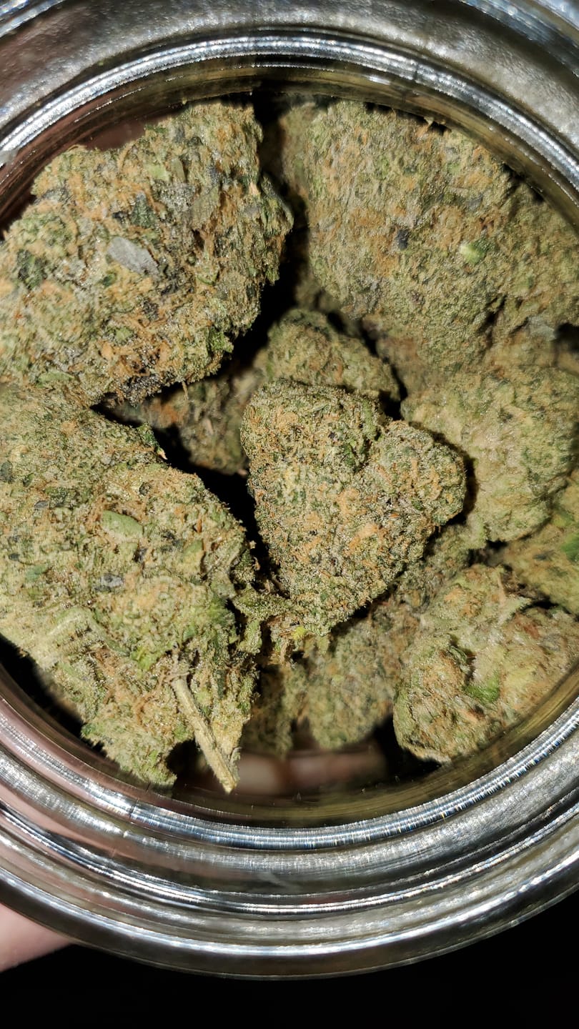 Customer photo review of Biscotti THCA Flower (Premium)