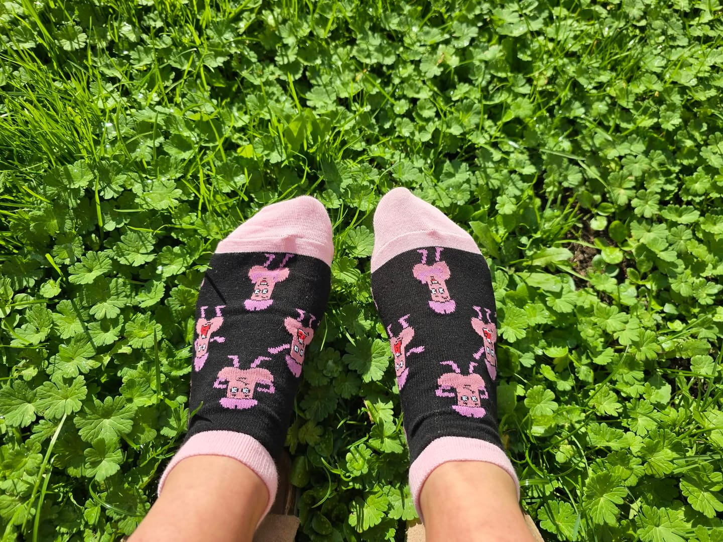 Customer photo review of Penis Anatomie Sneaker Socken