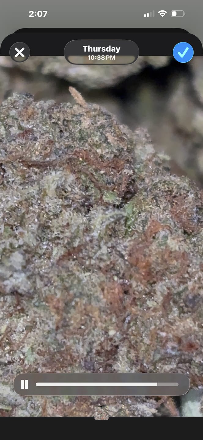 Customer photo review of Gorilla Glue Greenhouse THCA