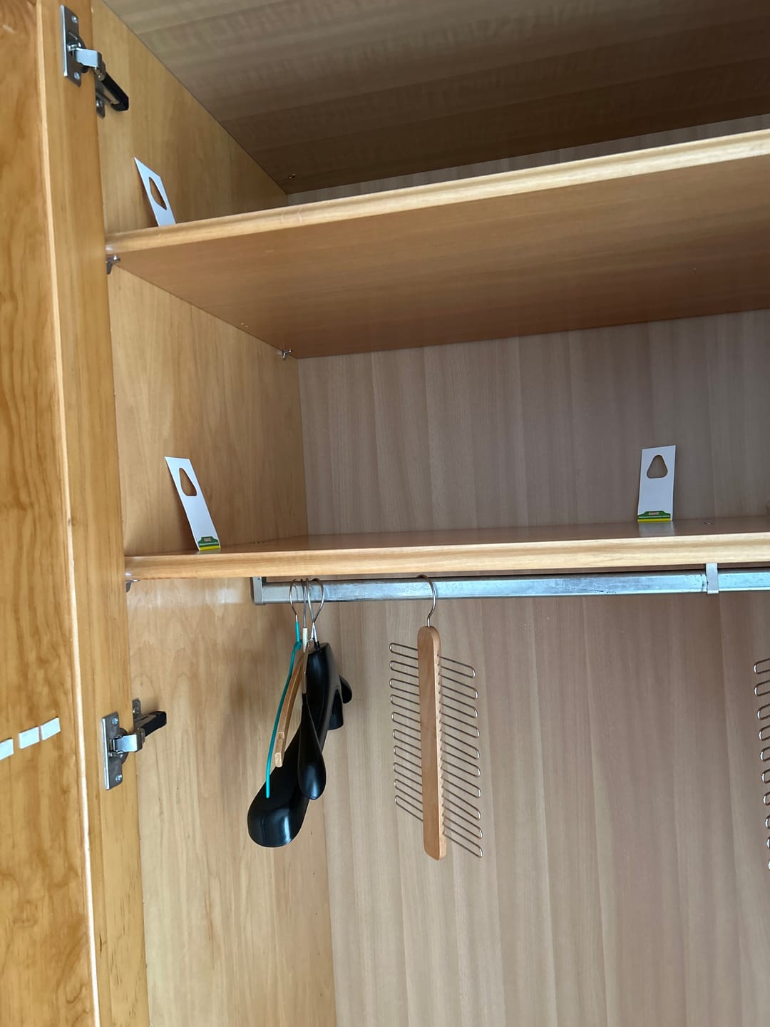 Customer photo review of Schlupfwespen gegen Kleidermotten.