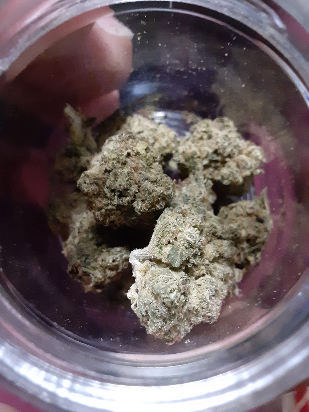 Customer photo review of Light Assist THCA Smalls