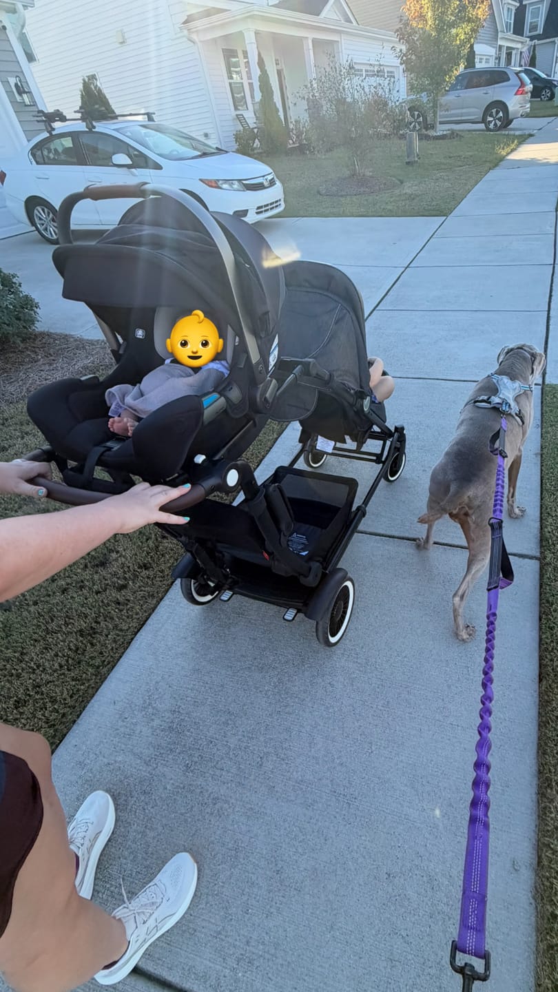 Customer photo review of The Entourage 2.0