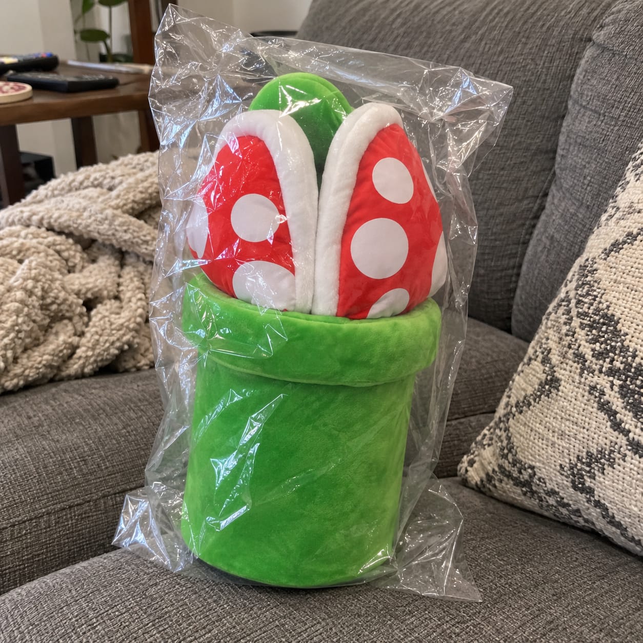 Customer photo review of Zapatillas de planta carnívora