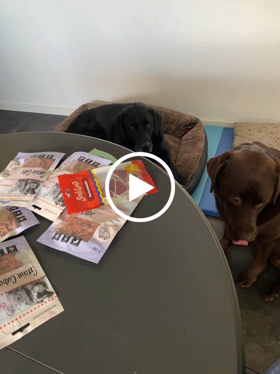Customer video review of Companion - Godbidder m. Kanin - 80 gr. (BF 23/1-27)