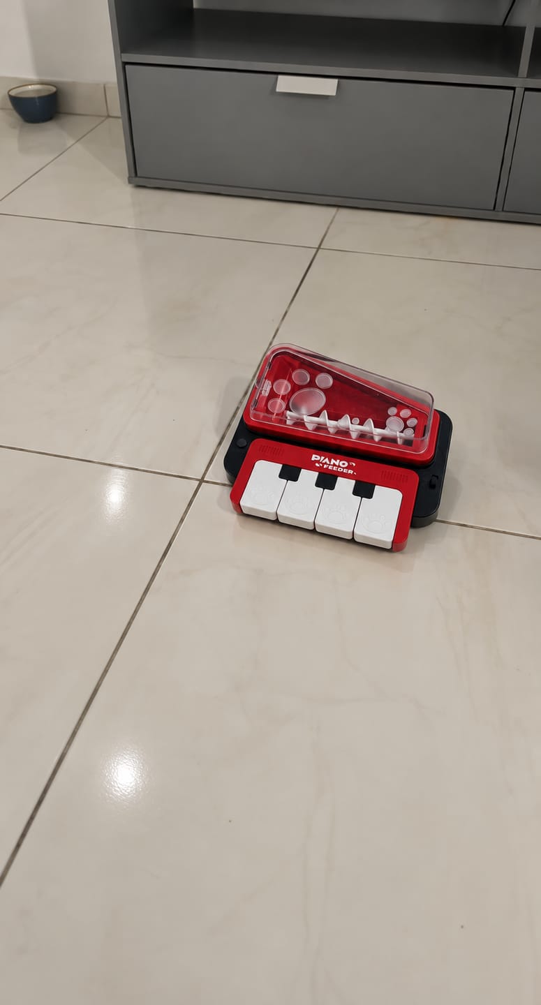 Customer photo review of PAW PIANO