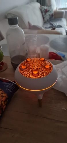 Customer photo review of Jellyfish Essential Oil Diffuser & Air Humidifier
