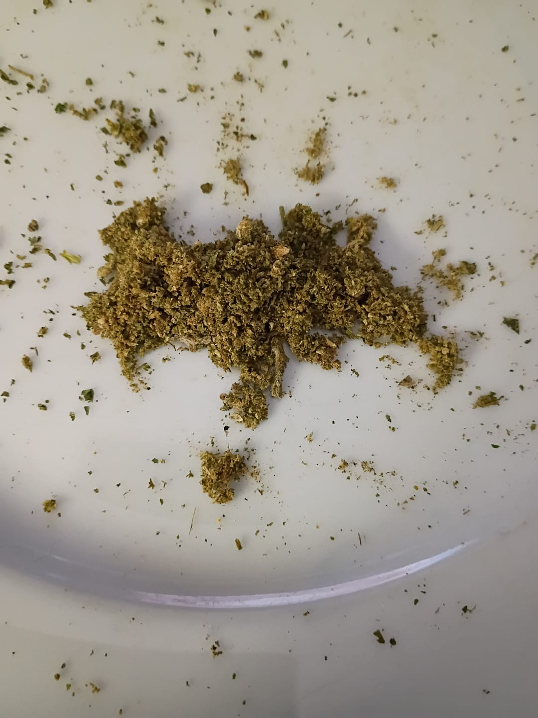 Customer photo review of No4 New. Gelato 45 THCa Shake (Wholesale)