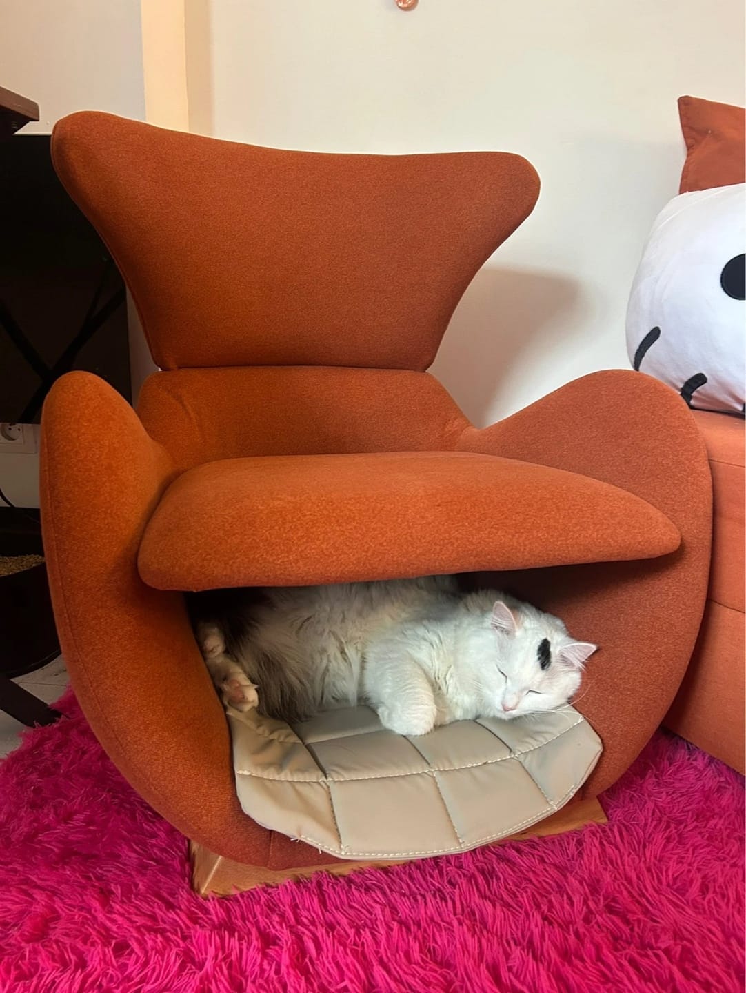 Customer photo review of Fauteuil avec niche intégrée pour animaux — Sammen