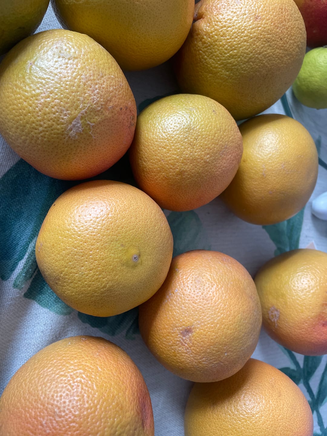 Customer photo review of Grapefruit rose Bio von David Miguel neue Ernte Andalusien