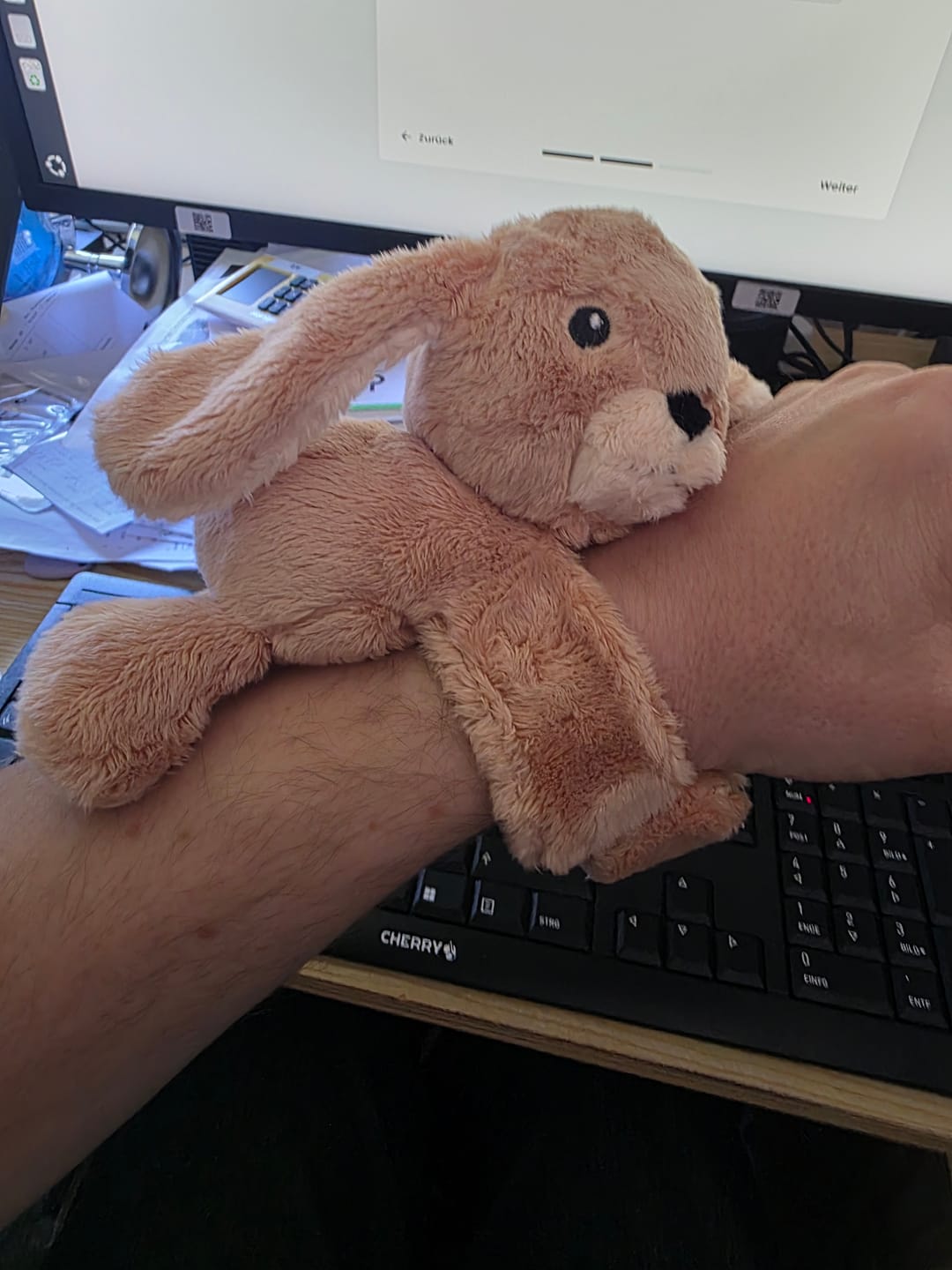 Customer photo review of Mini Lotgenootje Konijn
