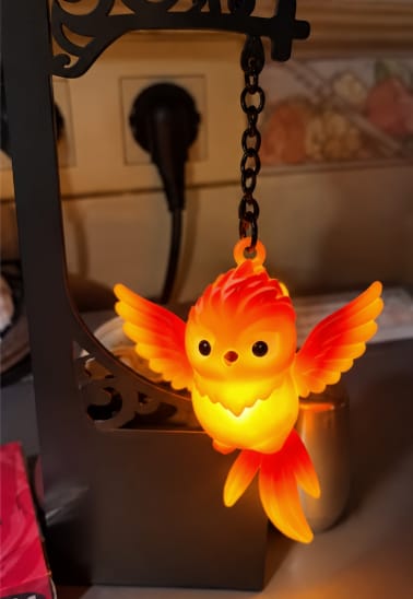 Customer photo review of Magical Hanging Night Light