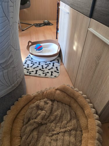 Kunden Fellnest Katzenkorb in einer hellen Wohnung neben einem weiteren braunen Tierbett auf dem Boden