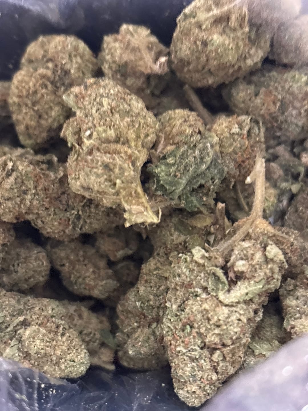 Customer photo review of White Nerds - Bulk - Hybrid