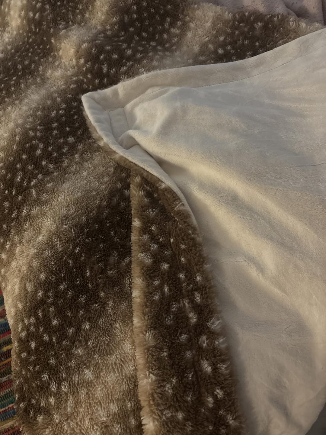 Customer photo review of Faux Fur Deer Blanket
