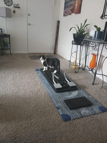 Customer photo review of Pilates Reformer Set