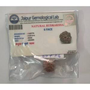 Customer photo review of Nepal Origin 8 Mukhi Rudraksha – 100% Natural & Certified