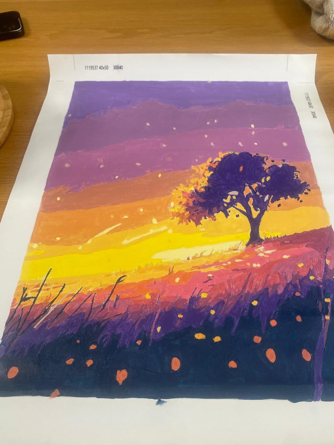 Customer photo review of Surprise Painting | Paint by Numbers
