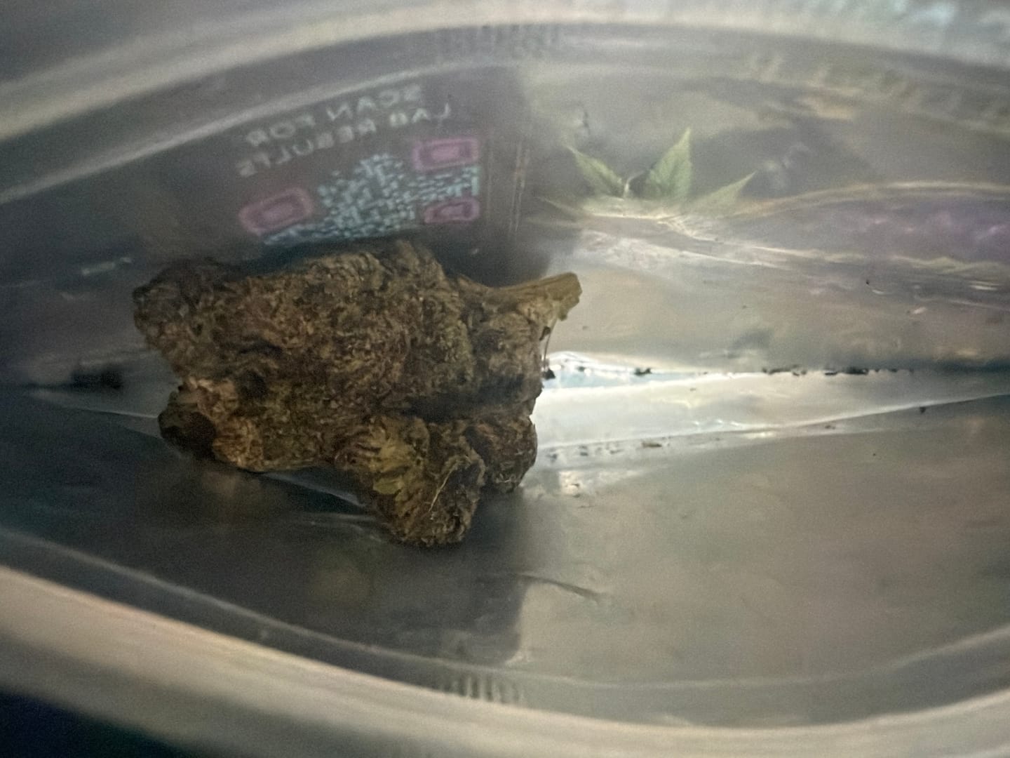 Customer photo review of Exotic Indoor Express THCA Flower (7 Grams)