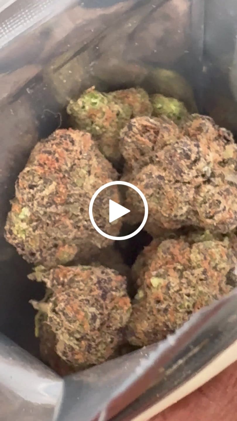 Customer video review of Purple Cream Pie Indoor THCA