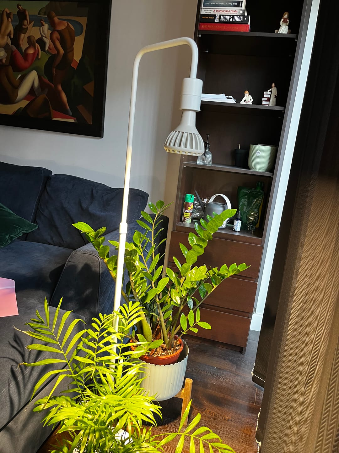 Customer photo review of Pianta Grow Light and Adjustable Floor Lamp Bundle