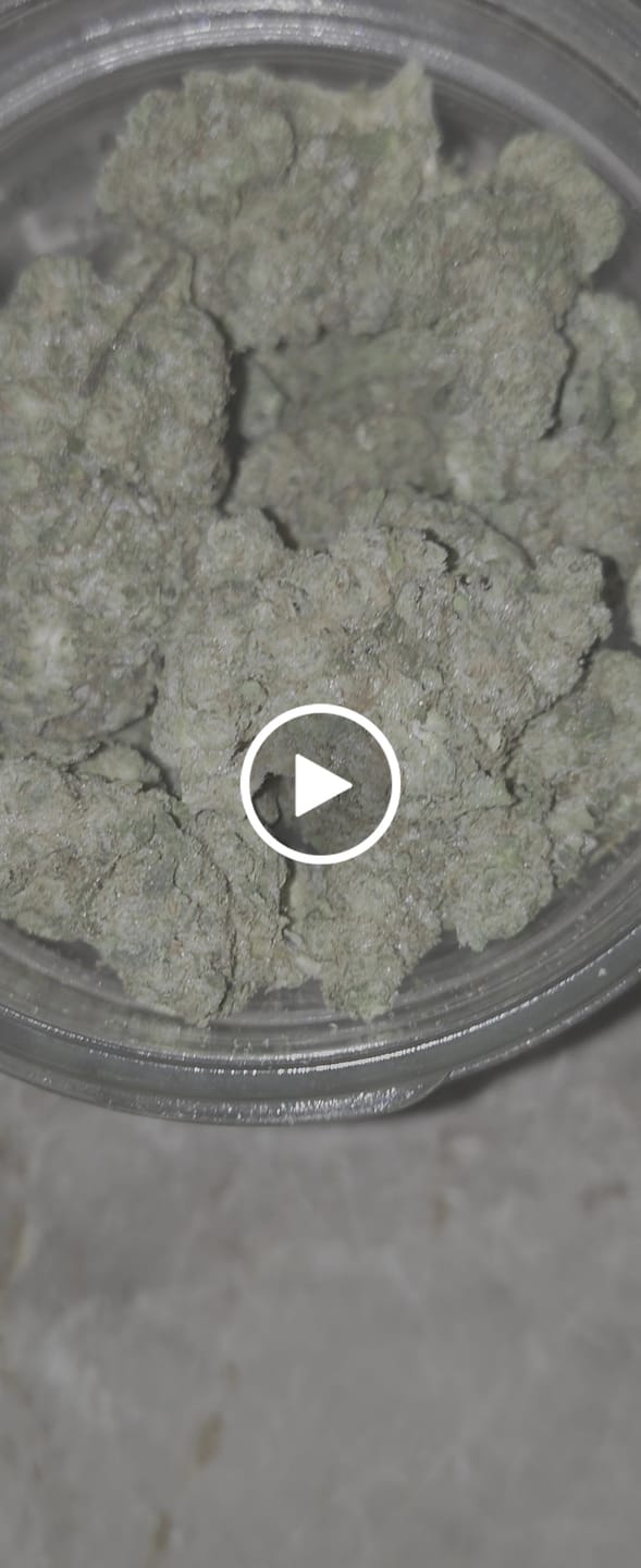 Customer video review of English Tea Light Assist THCA