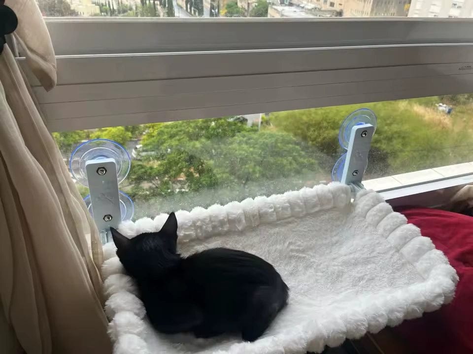 Customer photo review of Hamac de fenêtre rembourré pour chat — Vindu