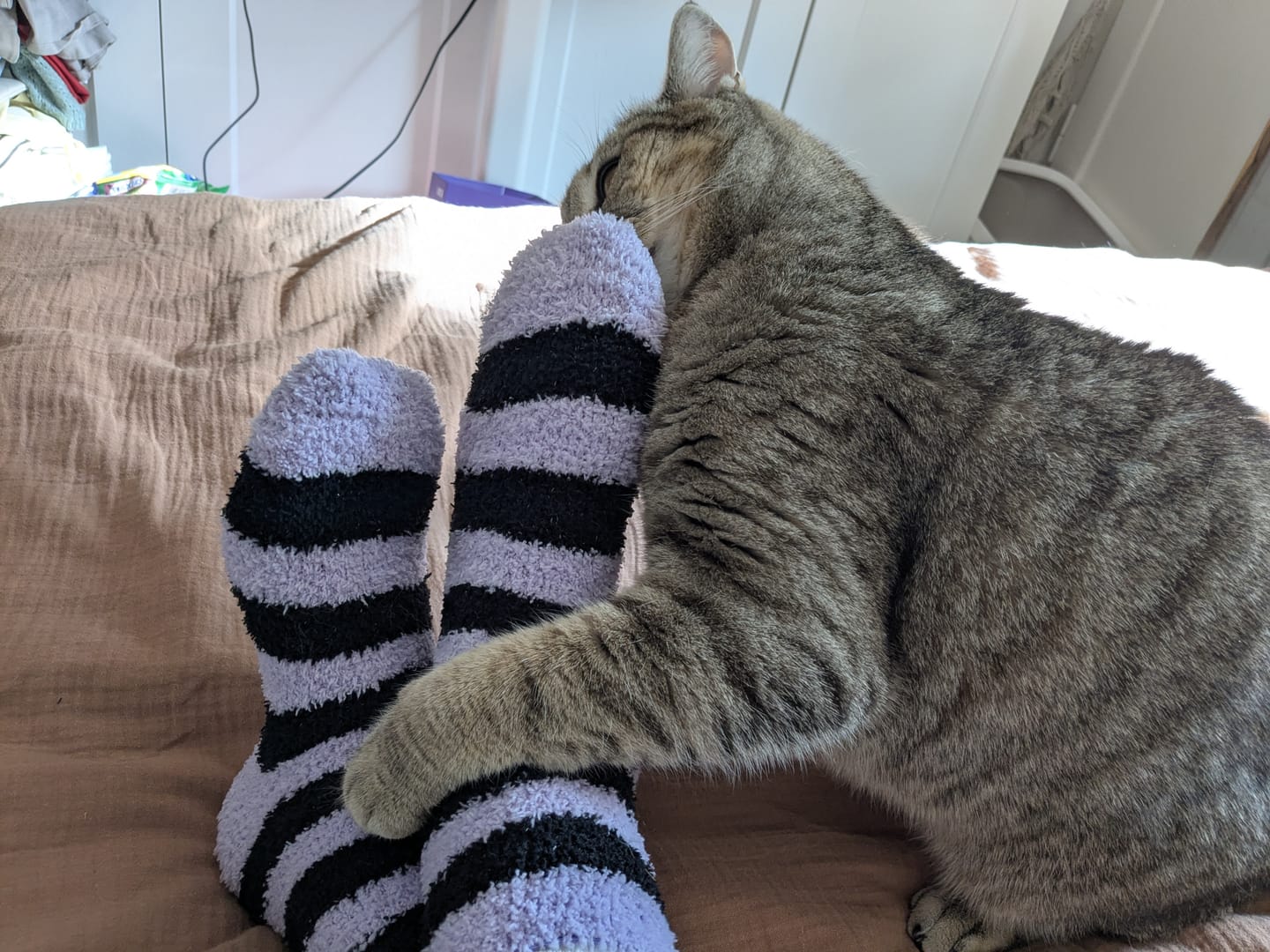 Customer photo review of Ringelsocken Pastel Gothic im Sarg-Geschenkbox