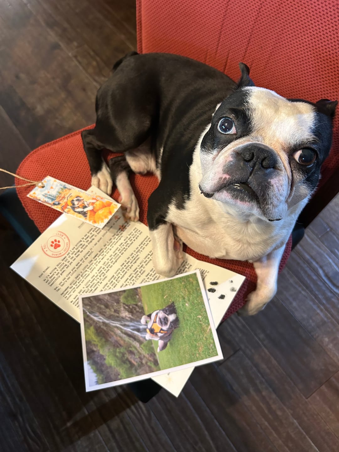 Customer photo review of 💌 Toby's Letter Club