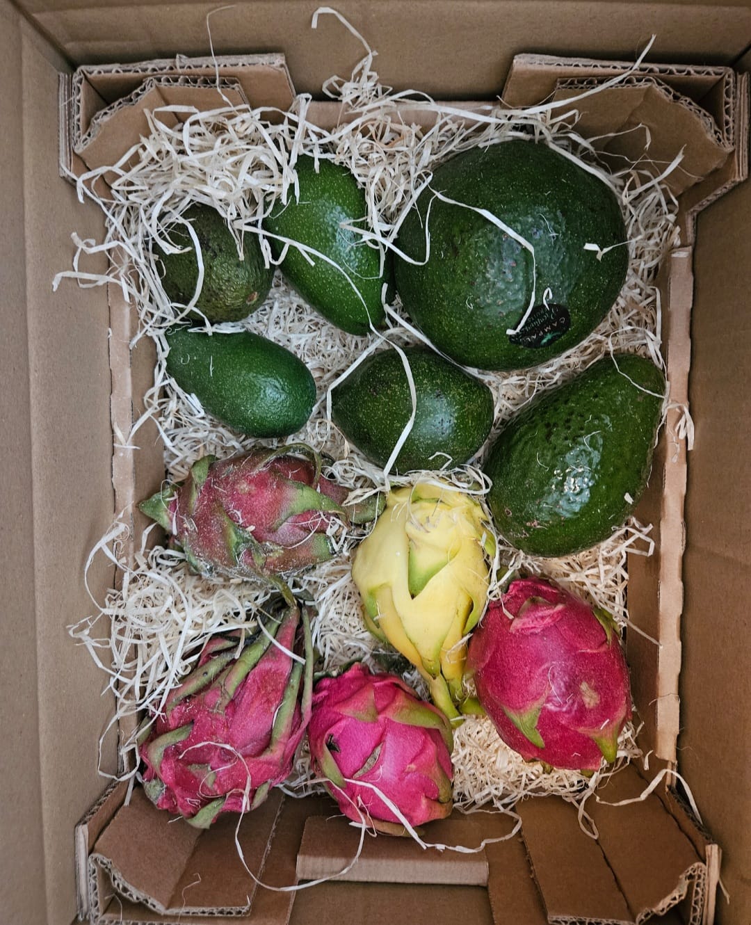 Customer photo review of Avocado Entdeckerbox Aktionspreis %