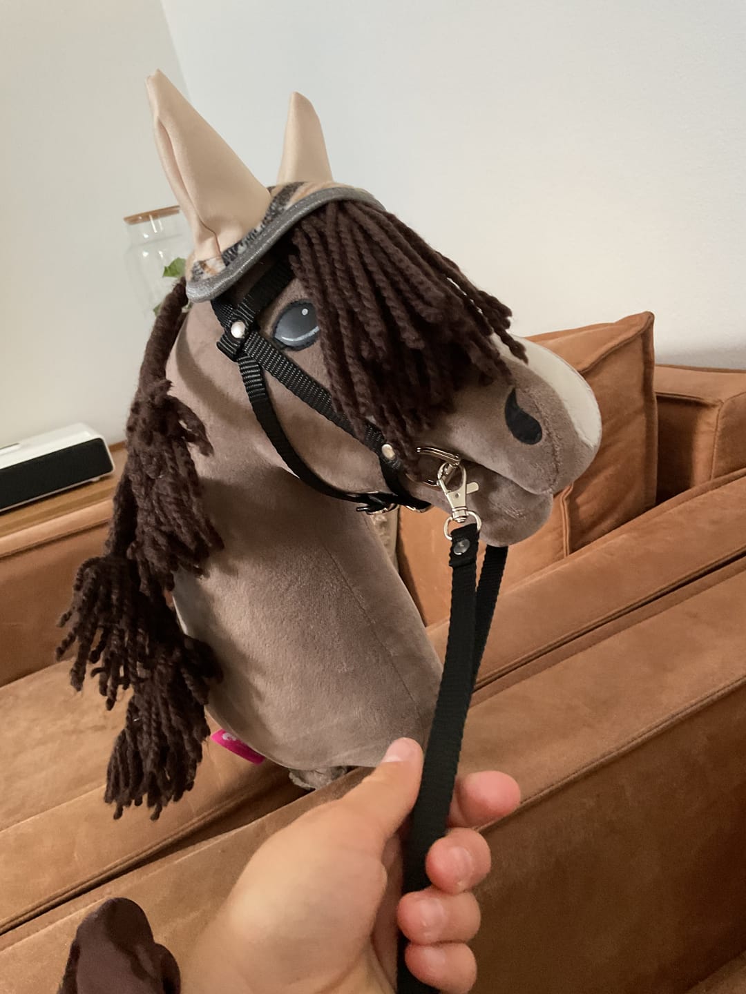 Customer photo review of Hobby Horse Guccini with Black Halter