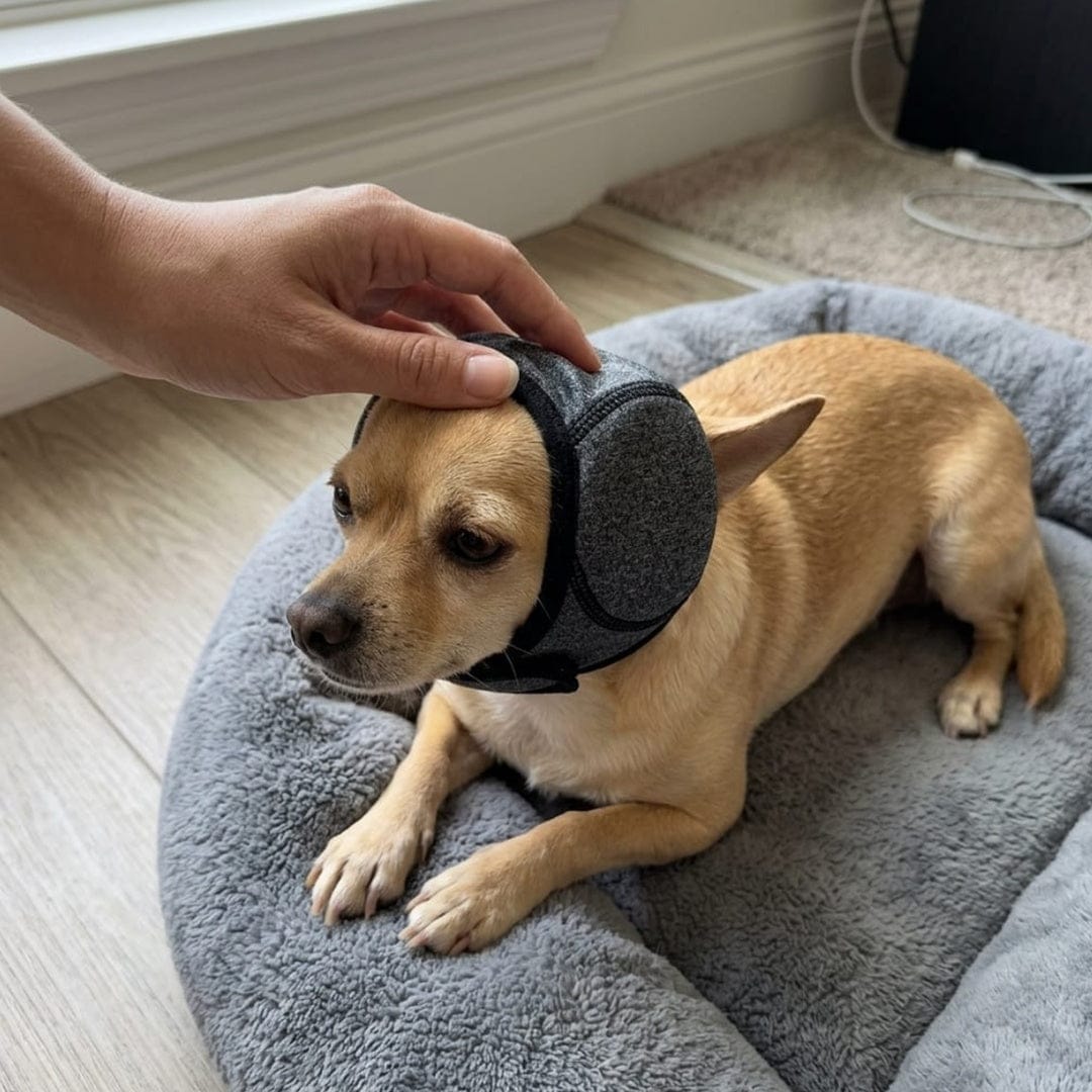 Customer photo review of DogCalm™ Orejeras con cancelación de ruido