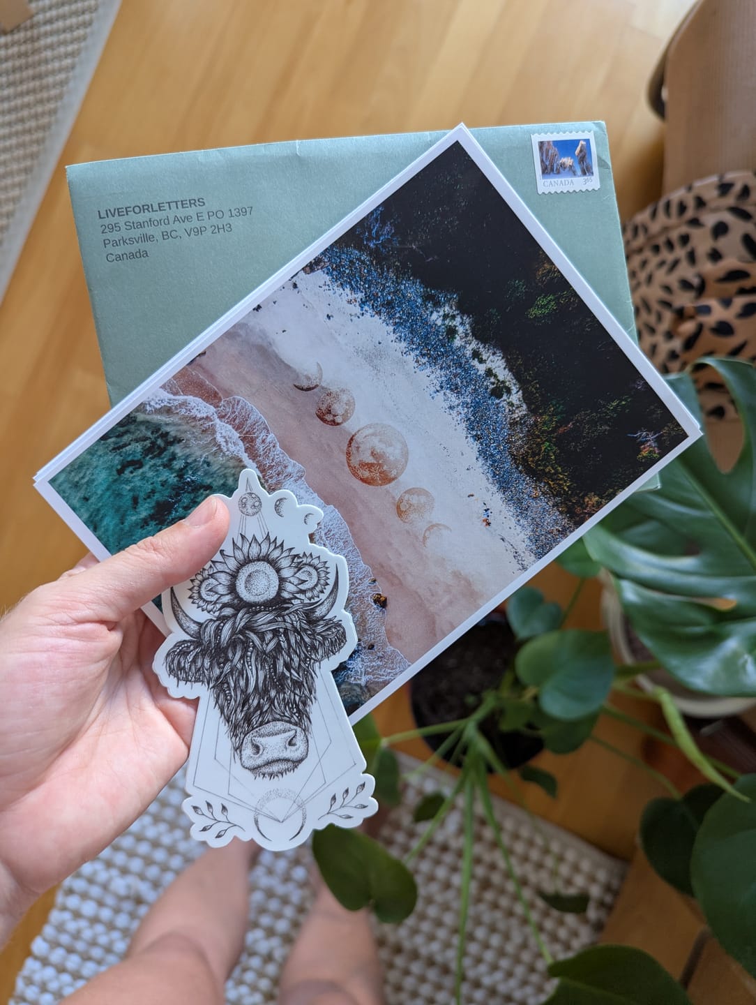 Customer photo review of LiveForLetters August