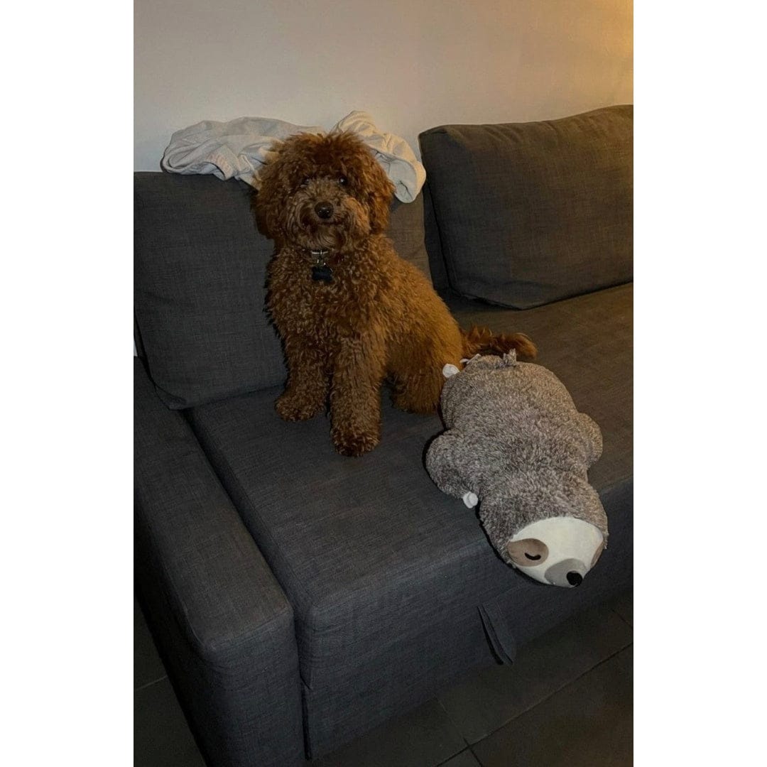 Customer photo review of Kuschelfreund mit beruhigendem Herzschlag