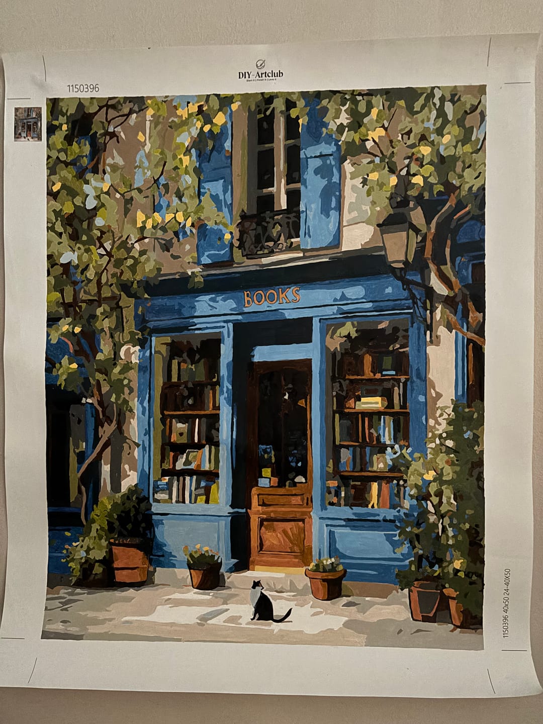 Customer photo review of Where books live | Paint by Number
