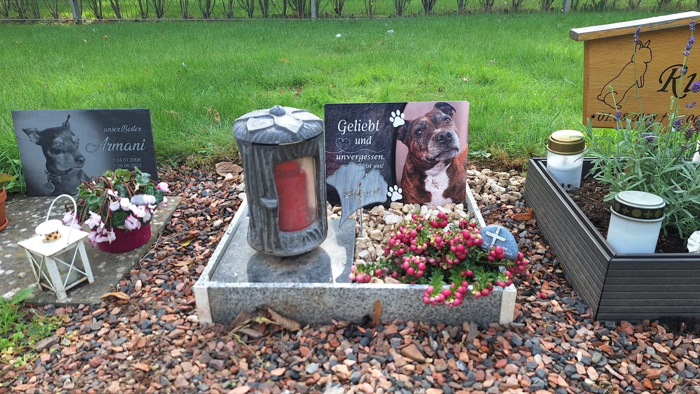 Customer photo review of Hunde Gedenktafel mit Foto & Spruch (UV- &  Wetterfest)