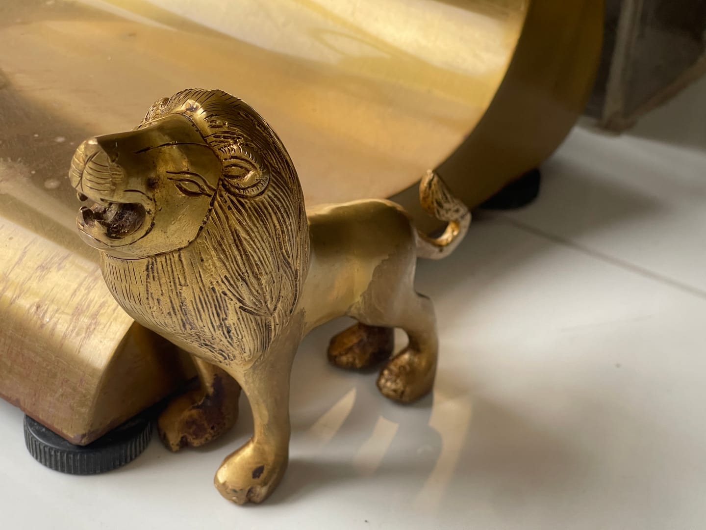 Customer photo review of Solid Brass Lion Vastu Idol | Vastu Remedy for  North-North-East  Direction Protection & Courage Energy for Main Entrances | 16×6×14 cm | 985g