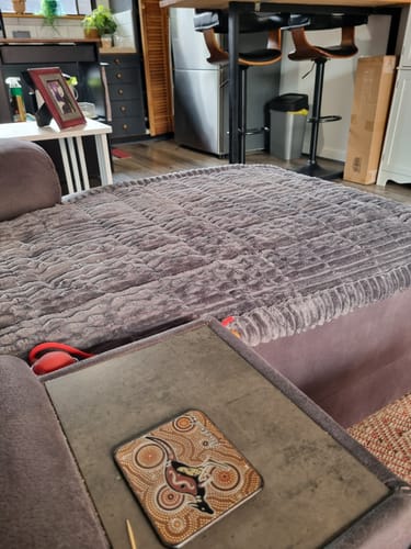 Customer photo review of Cosy Couch - Couch Cover