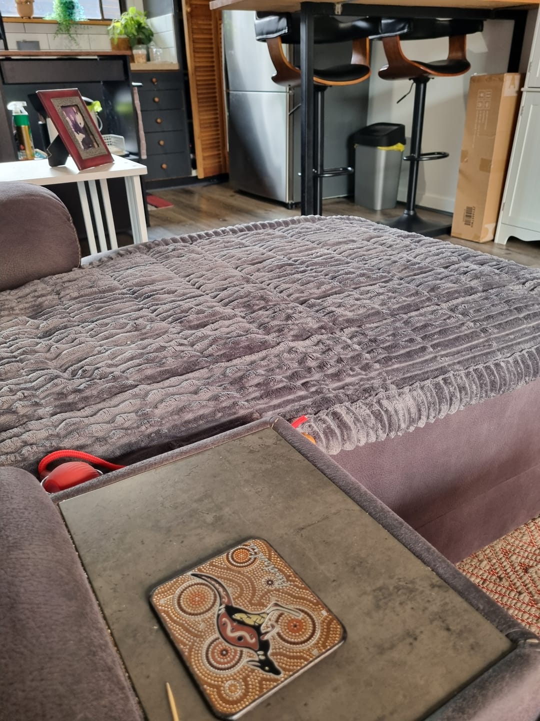 Customer photo review of Cosy Couch - Couch Cover
