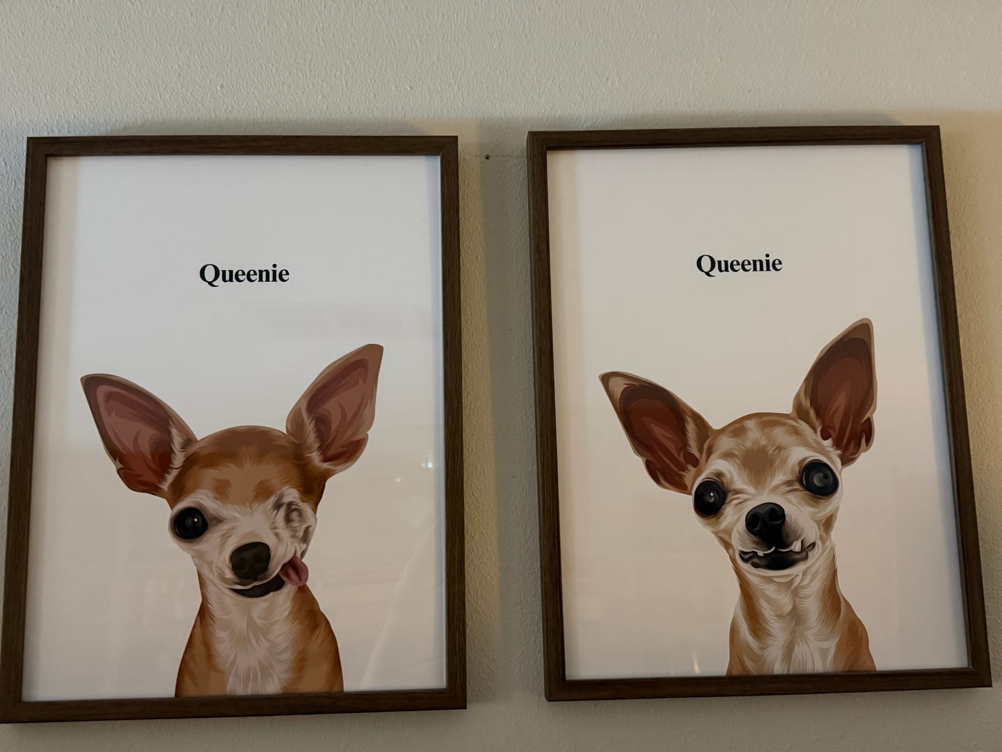 Customer photo review of Custom One Pet Portrait