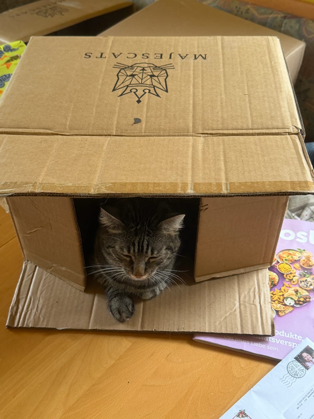 Customer photo review of Katzenklo Schaufel