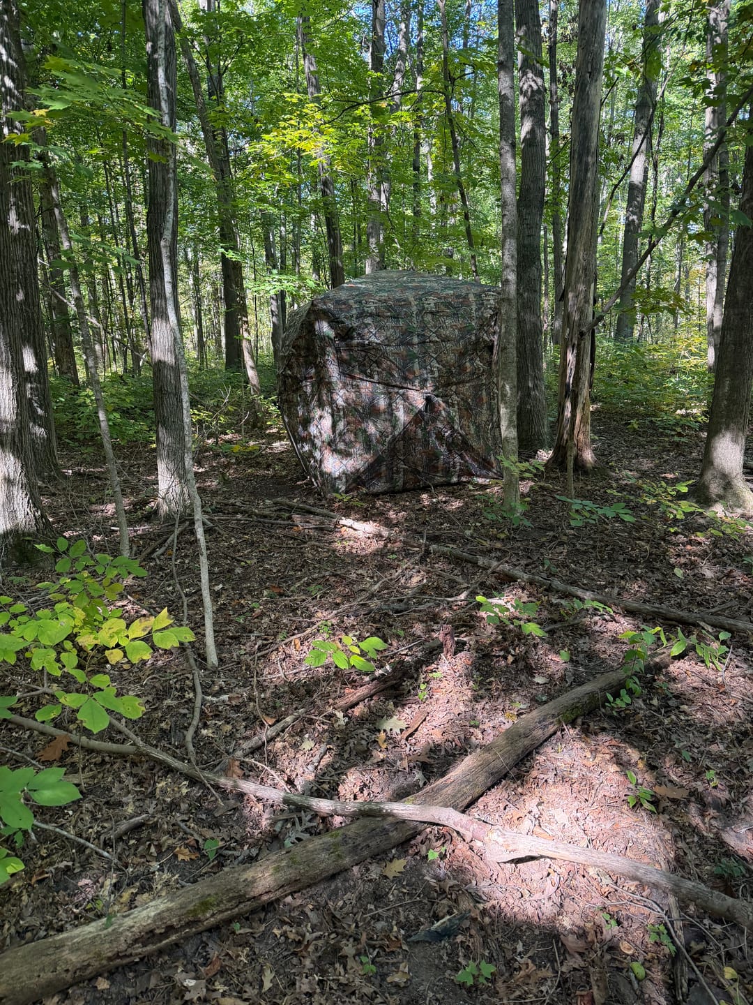 Customer photo review of VisX/VisMax 270 Degree See Through Pop Up Hunting Blind