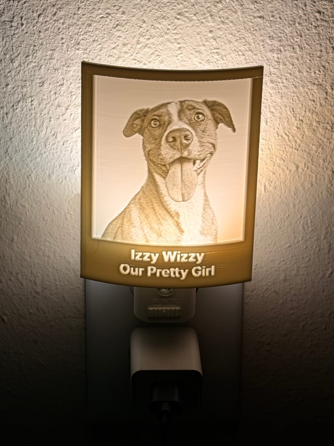 Customer photo review of Personalized Pet Memorial Night Light