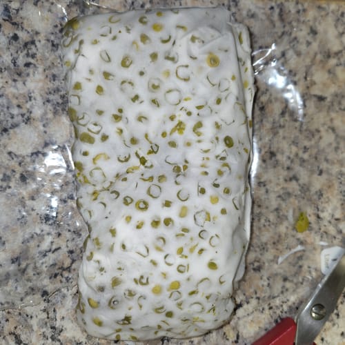 Customer photo review of BIO Tempeh Starterkultur