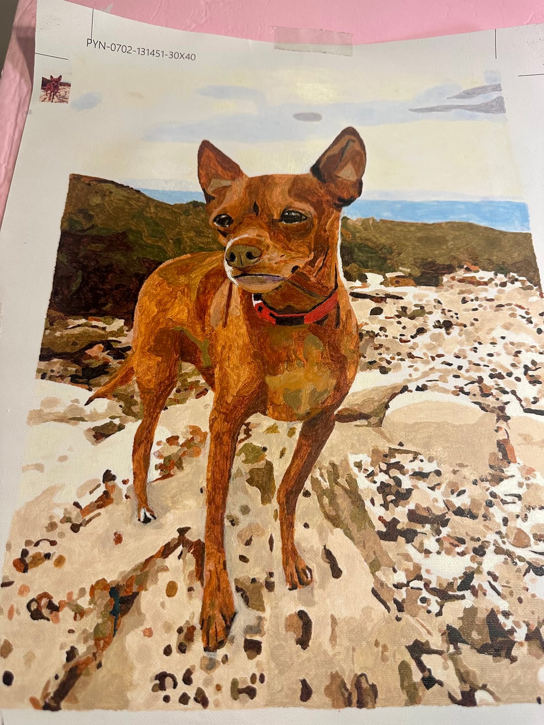 Customer photo review of Custom Paint By Numbers Kit – Turn Your Favorite Photo Into Art