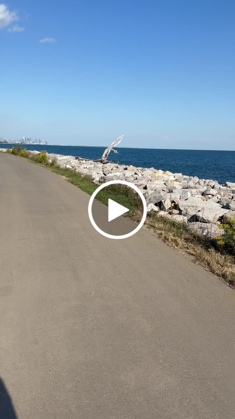 Customer video review of WowGo 3E Electric Skateboard & Longboard