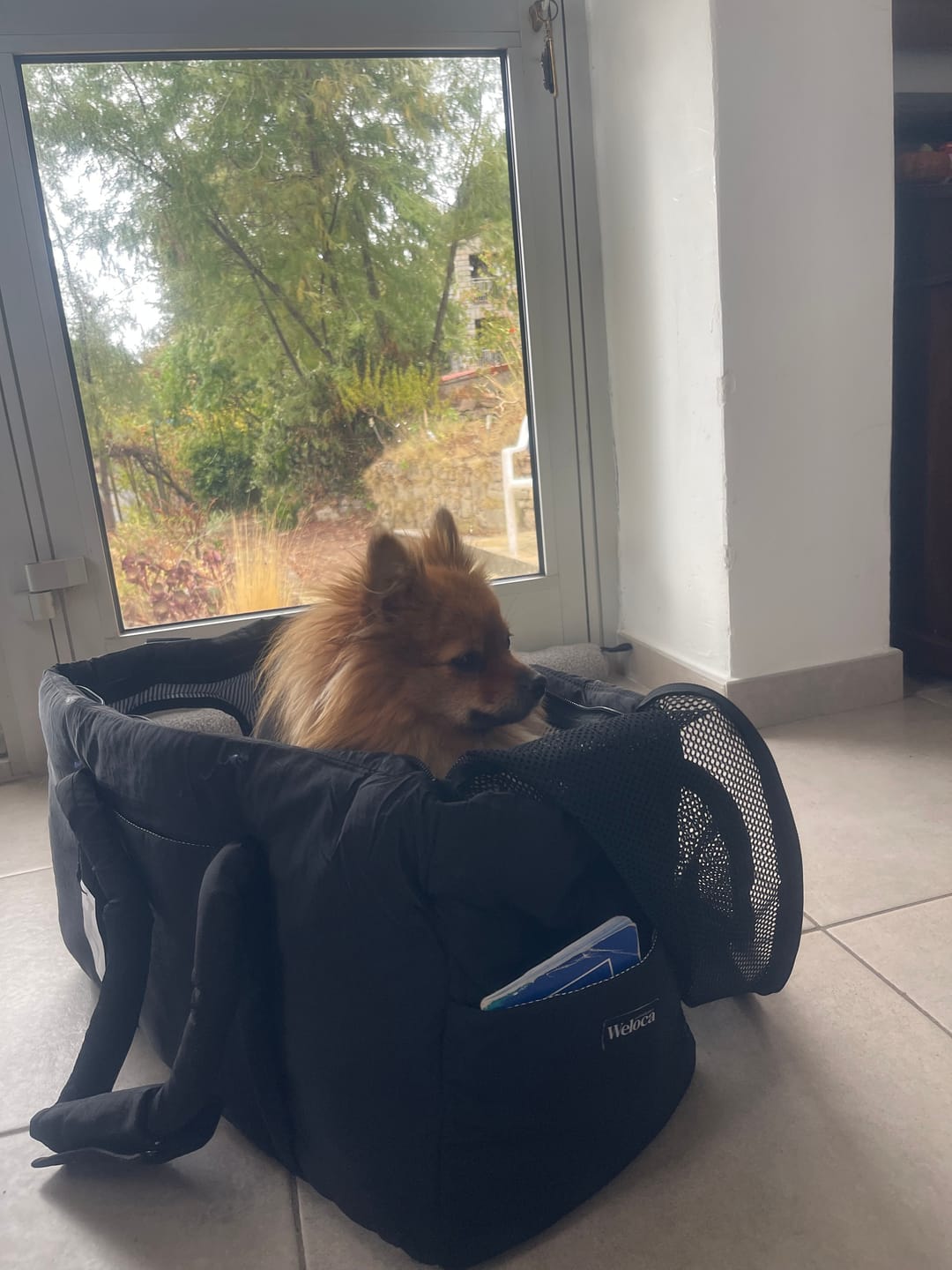 Customer photo review of Sac de voyage - Noir
