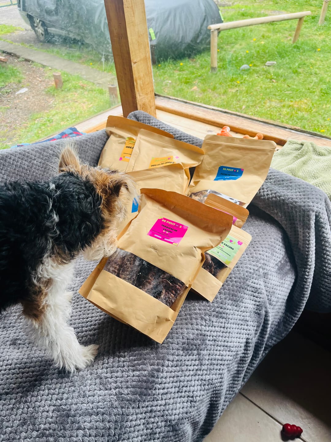 Customer photo review of 🎁REGALO: Plato plegable de silicona - Multiuso