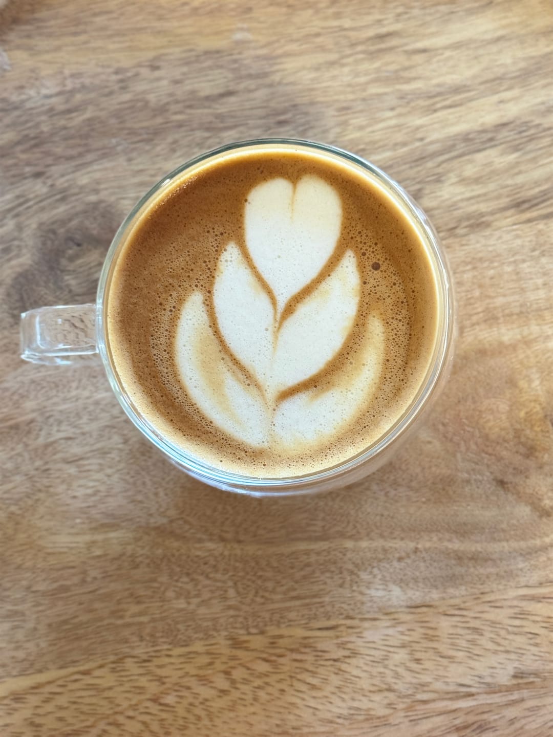 Customer photo review of Best Friends Crema King
