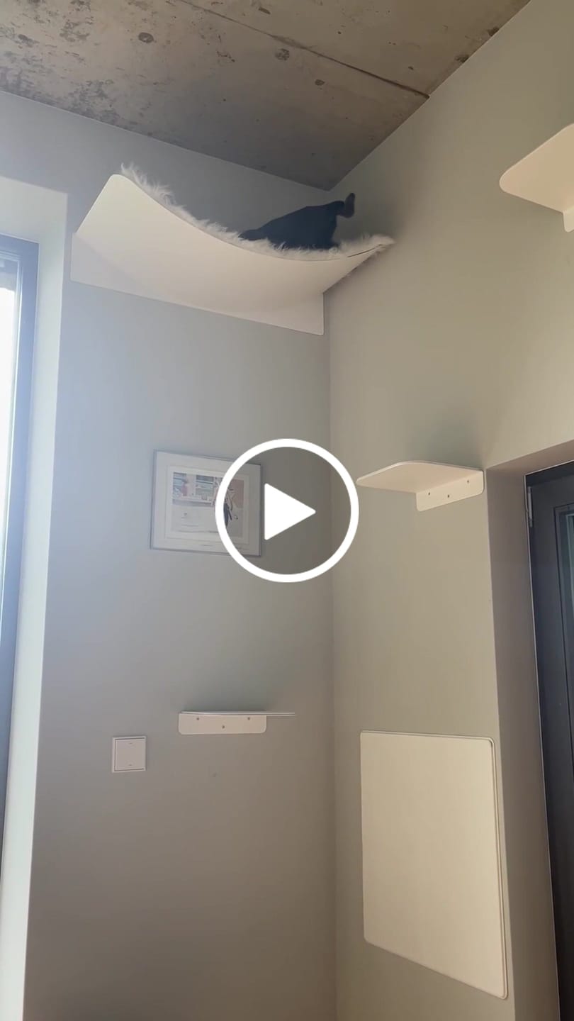 Customer video review of STYA Katzen Kletterwand | Katzen Treppe WL340 | Mit 3 Stufen